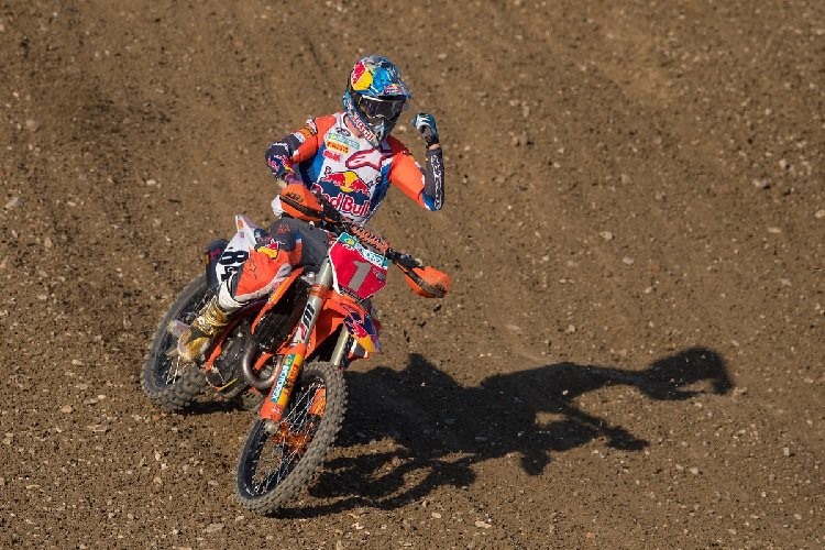 Blog 2 Herlings